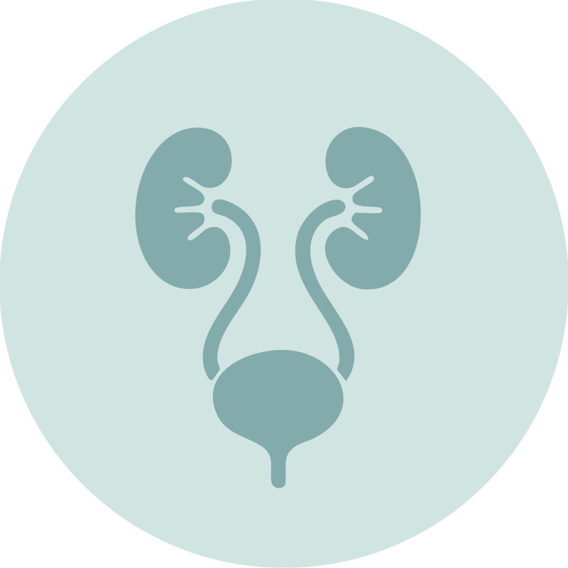 urologia